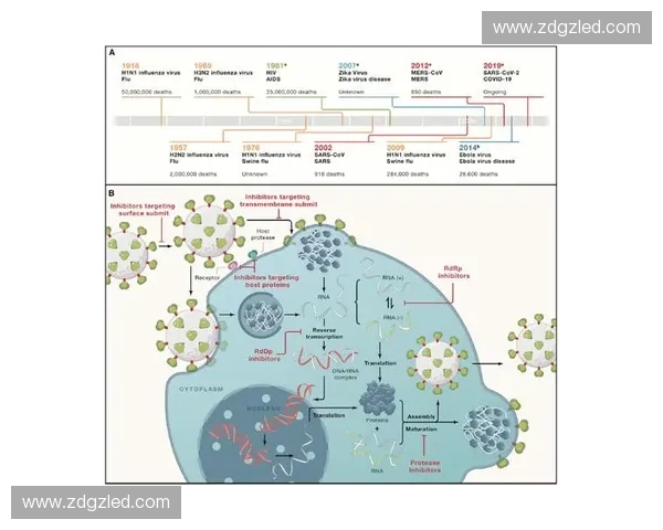 全面回顾延边队2016赛程与关键赛事深度解析指南全面导读手册